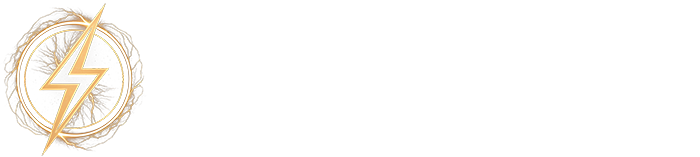 MagneGo